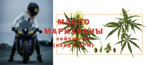 мдпв Богородск