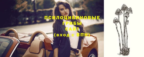 марки nbome Богородицк