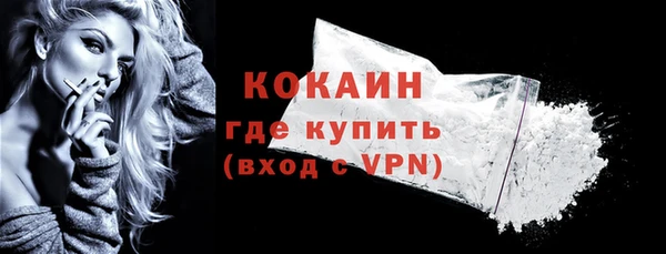 PSILOCYBIN Бородино
