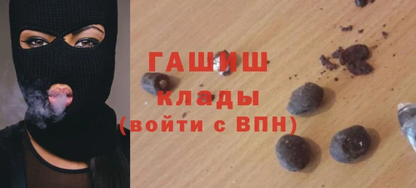 мдпв Богородск