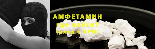 мдпв Богородск