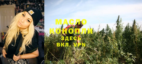 мдпв Богородск
