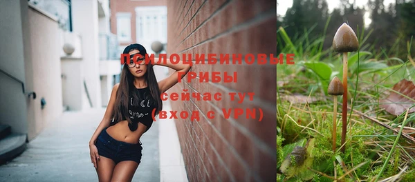 марки nbome Богородицк