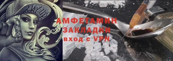 прущие грибы Белокуриха