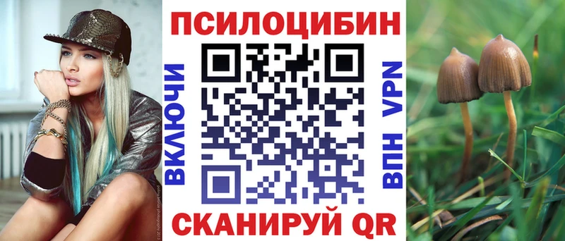 Купить  Енисейск  Псилоцибиновые грибы прущие грибы 
